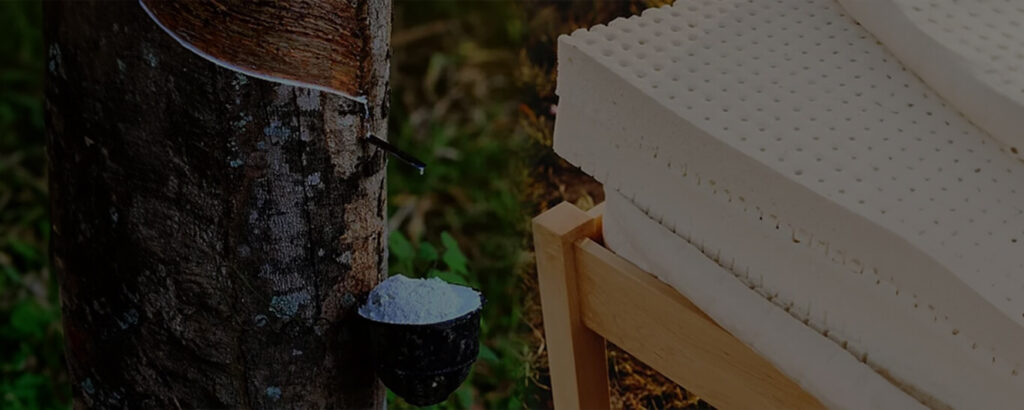 Natural vs Synthetic Latex : Why It Matters